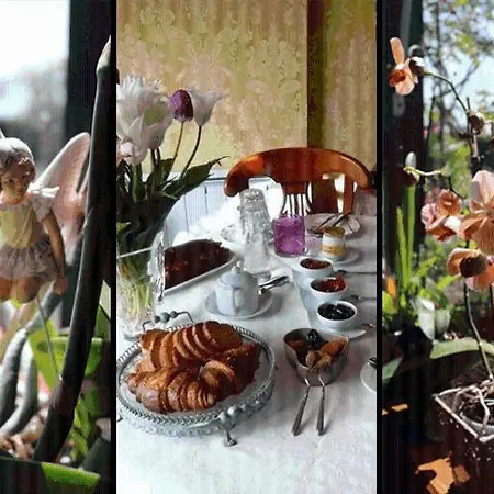 L'eglantiere * Агон-Кутенвиль